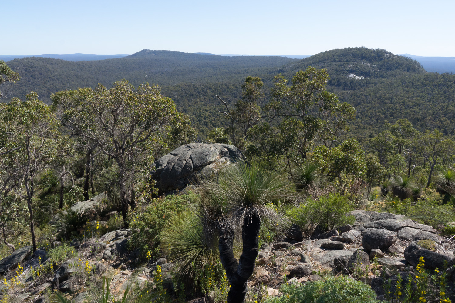 WA 2019 Part 8. The Perth Hills Fierce Flora
