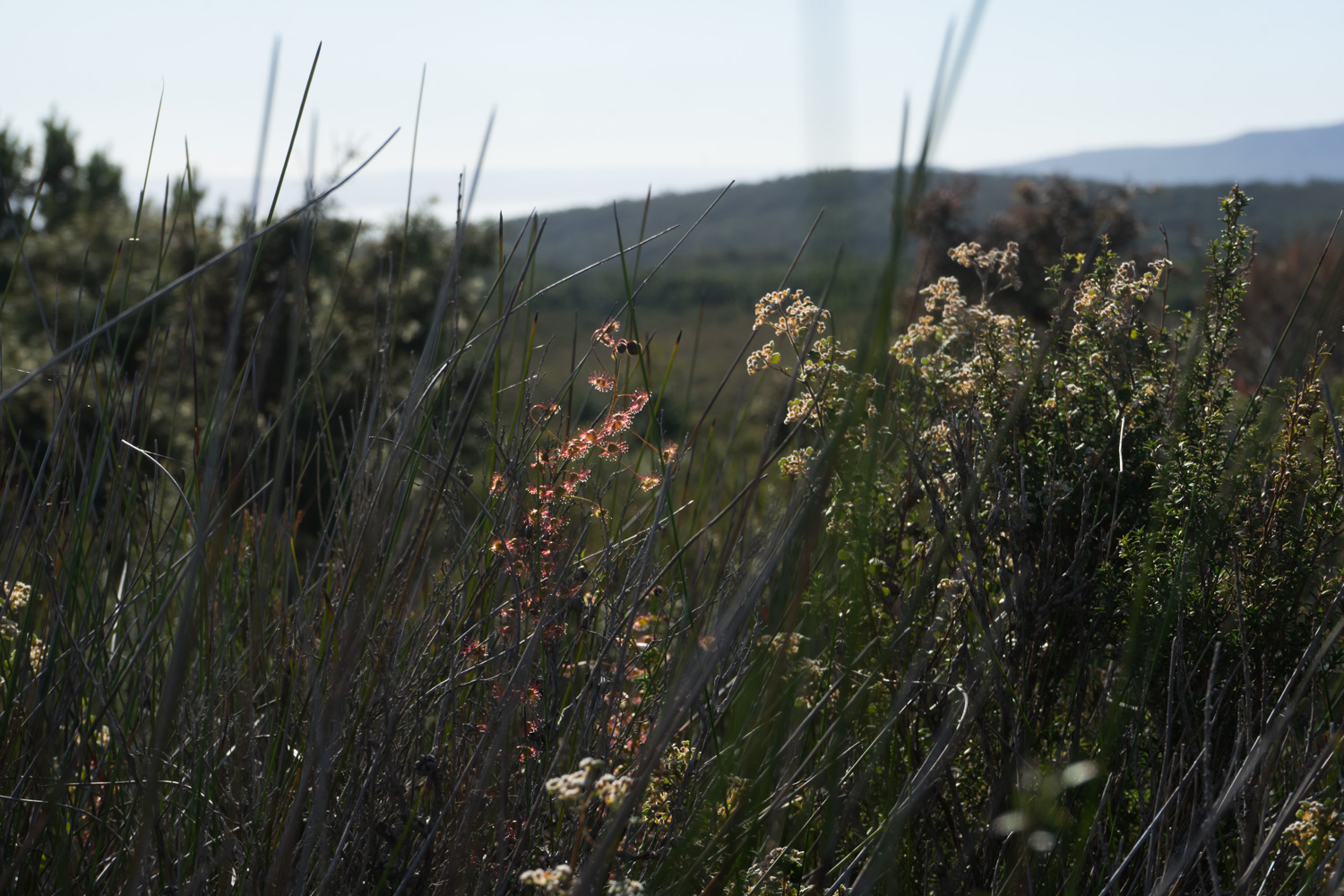 Wilsons Promontory – June