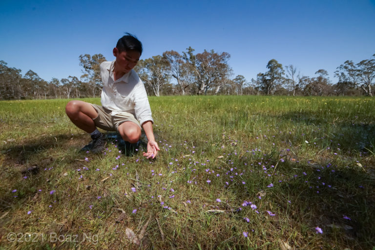 Victoria 2020: Part 1. The Wimmera