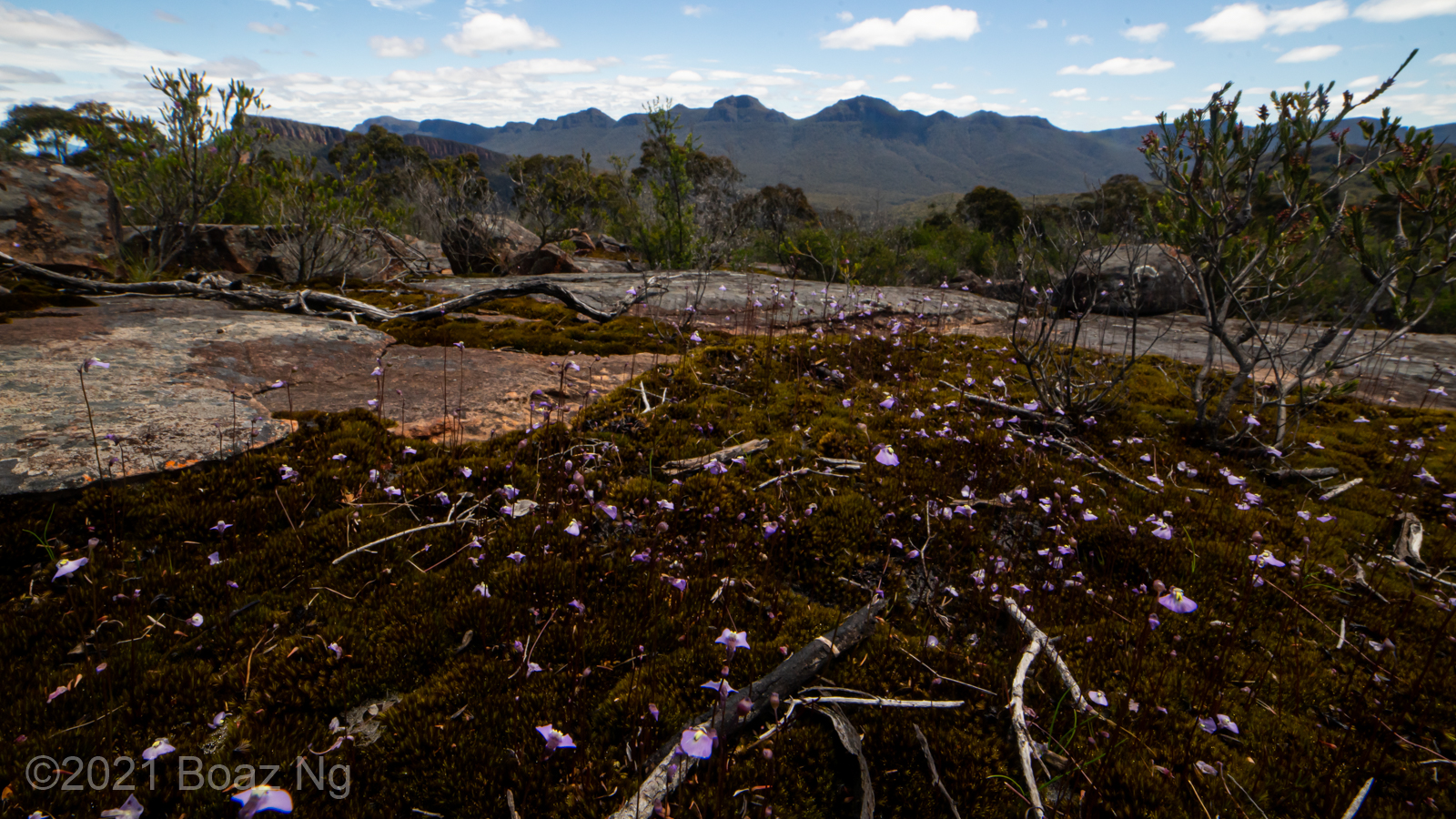 Victoria 2020: Part 2. The Grampians